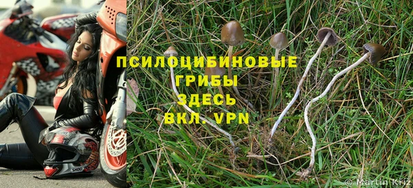 MDMA Михайловка