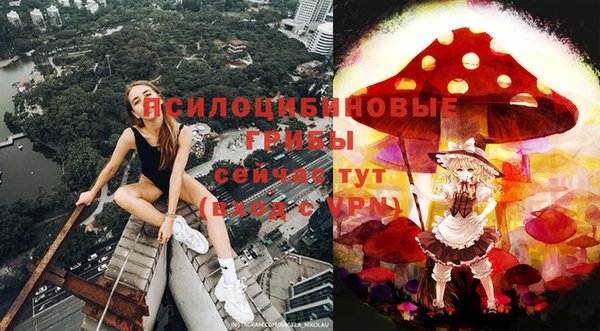 тгк Михайловск