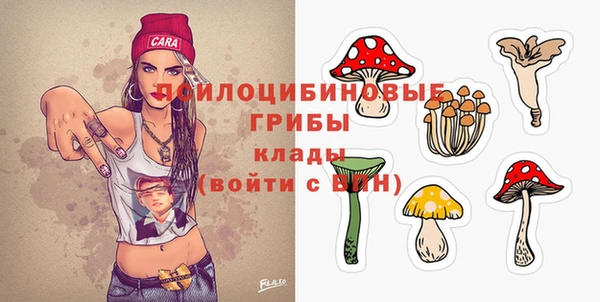 соль курить ск Михайлов
