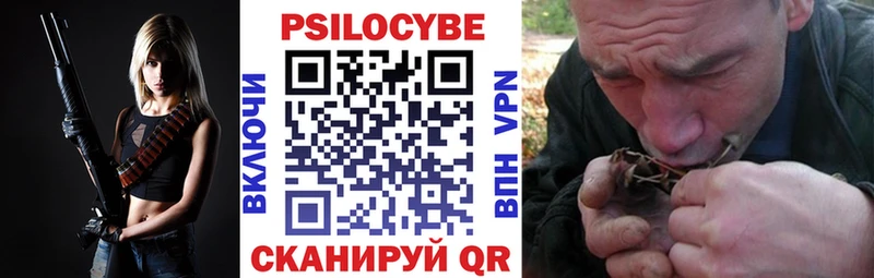 kraken ссылки  Шадринск  Галлюциногенные грибы мицелий  дарнет шоп 