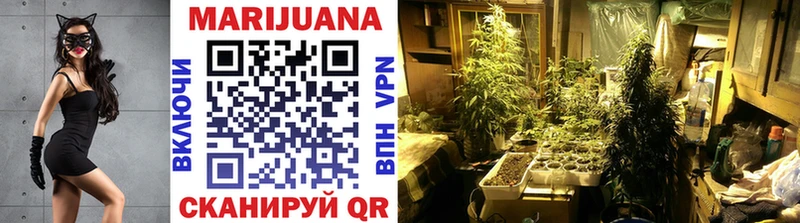 Марихуана Bruce Banner  продажа наркотиков  Шадринск 